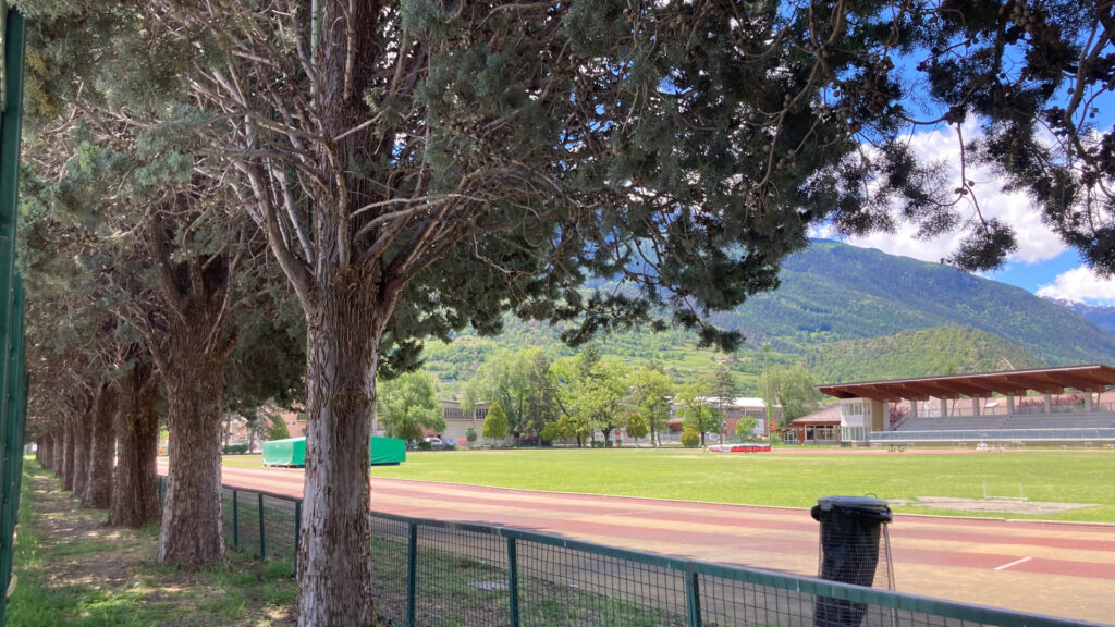 Gli alberi a fianco della pista di atletica al campo 'Tesolin' di Aosta