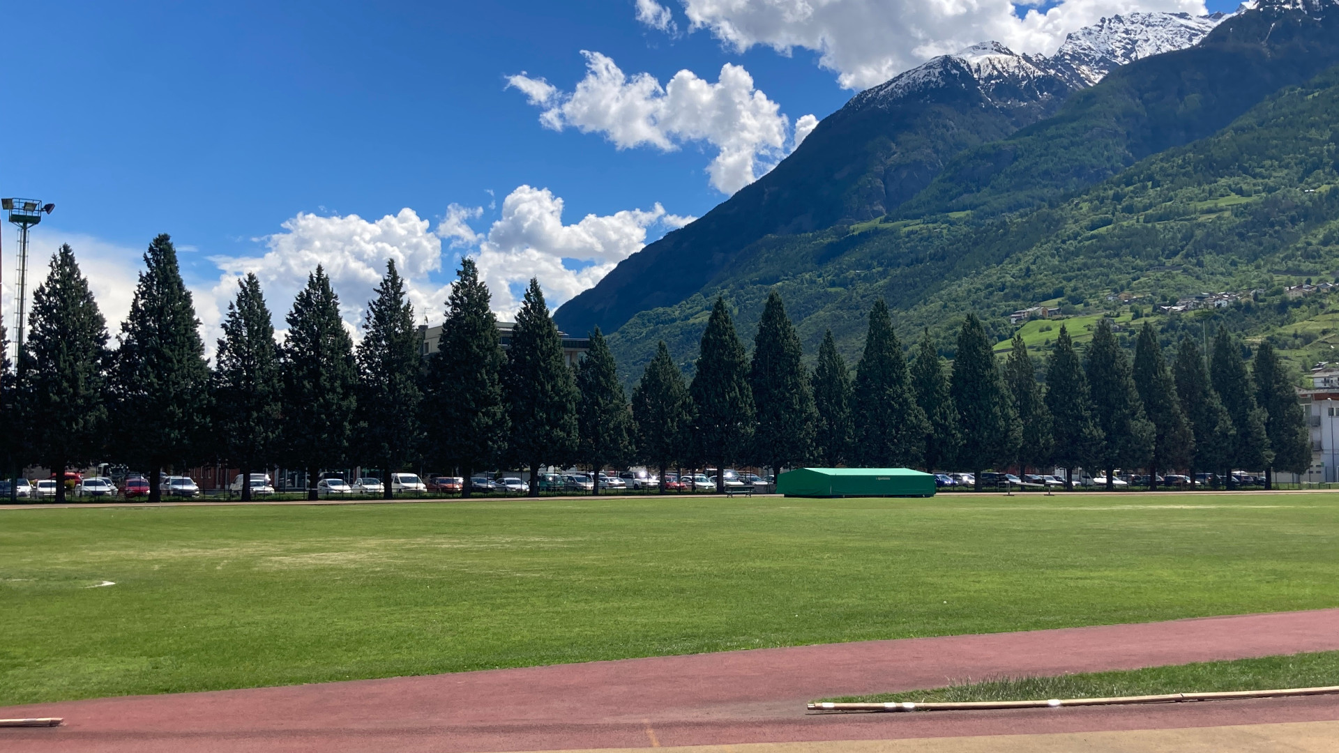 Non si possono salvare gli alberi del Tesolin