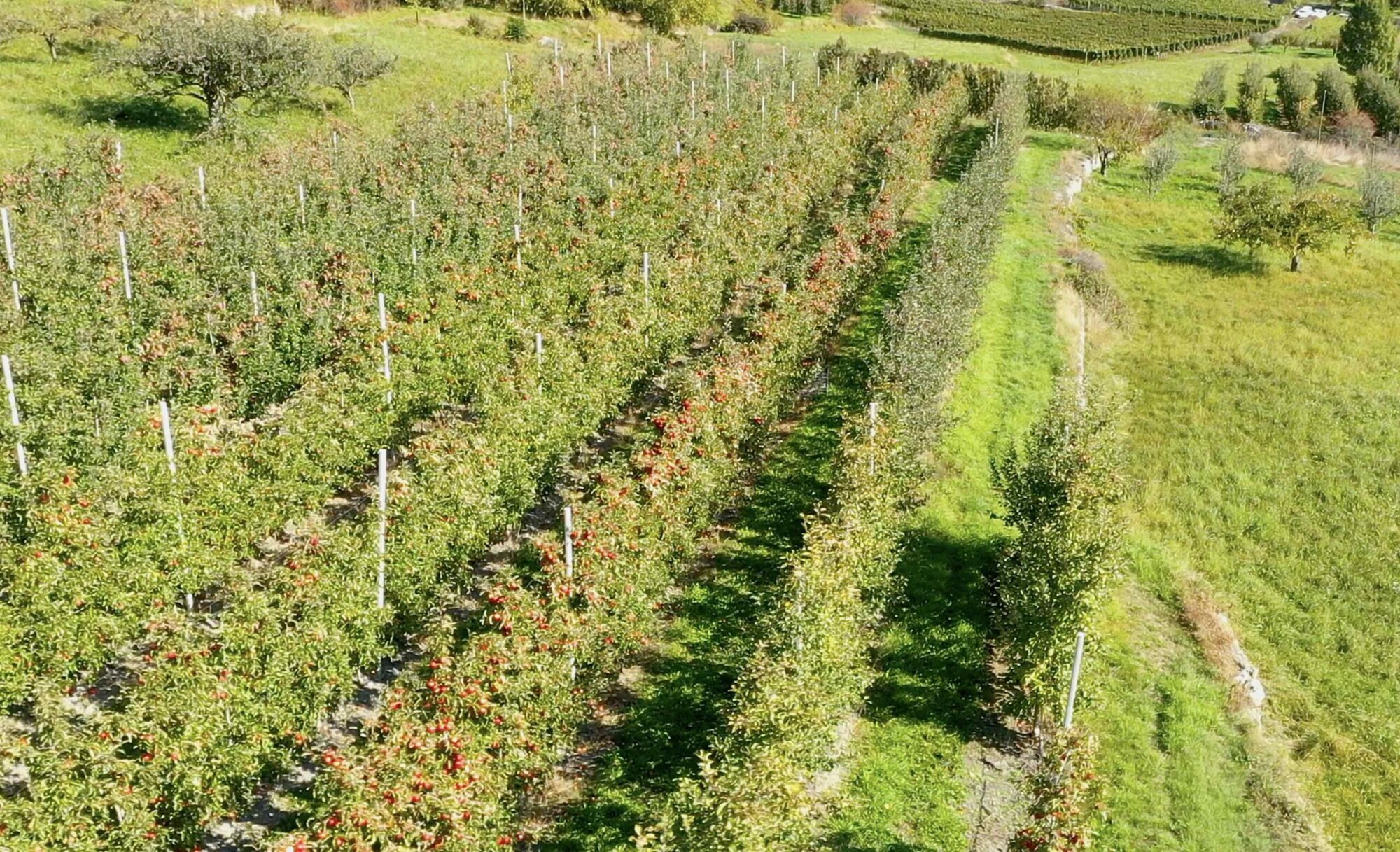 Contributi e mutui integrativi per investimenti in fabbricati rurali in Valle d’Aosta