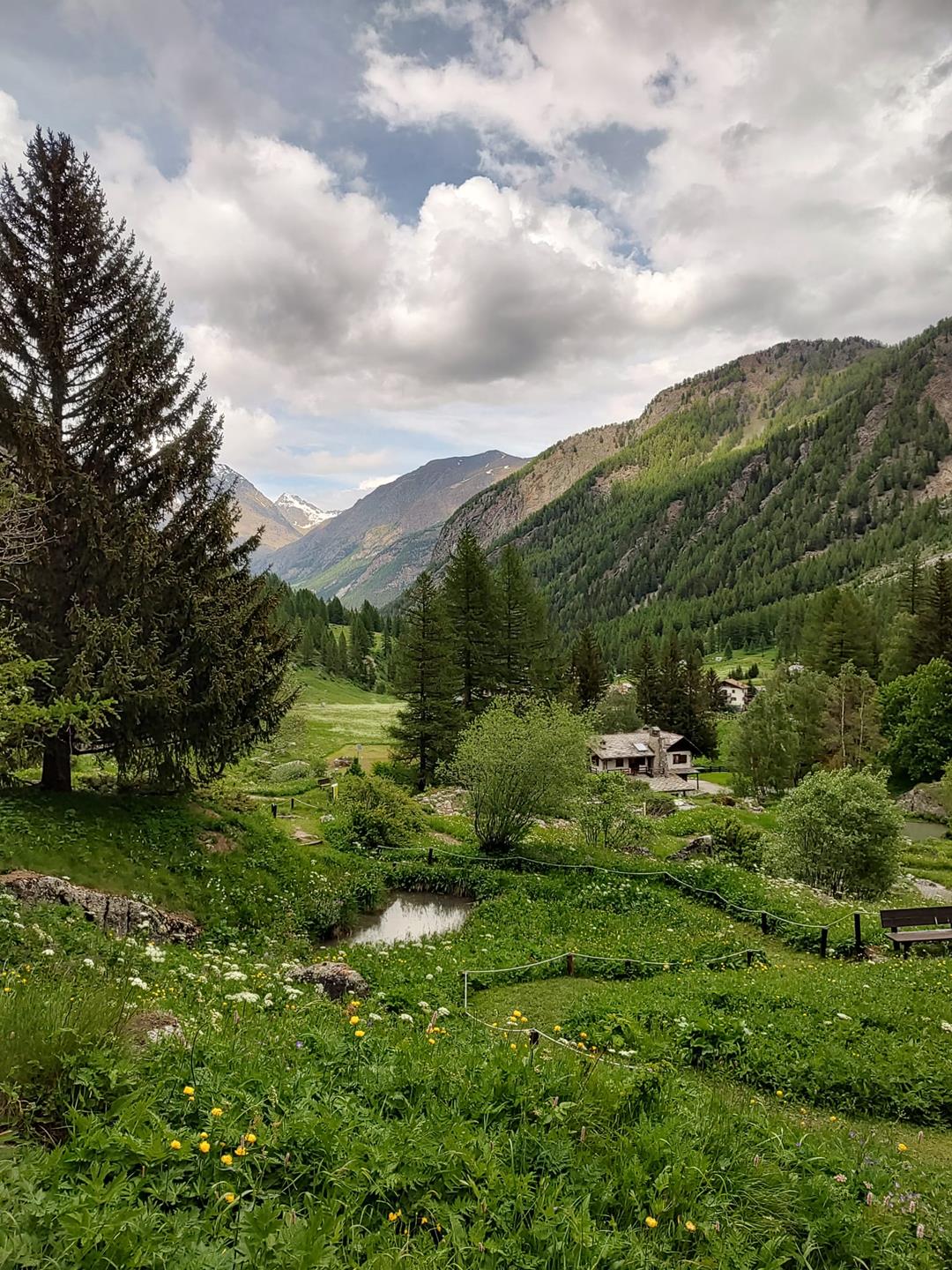 Cogne: eventi e appuntamenti dal 1° al 5 agosto