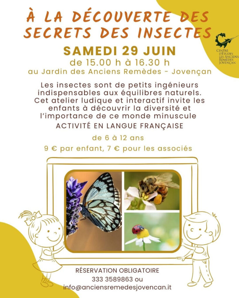 A La Decouverte Des Insectes