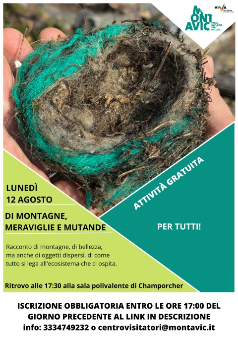 Locandina 12 agosto 2024