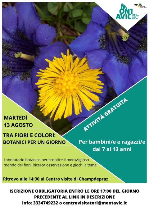 Locandina 13 agosto 2024
