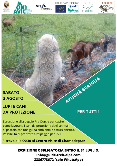 Locandina 3 agosto 2024