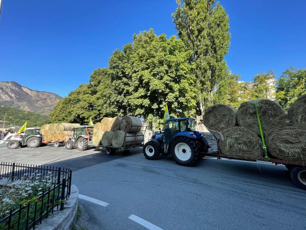 Fieno Solidale Cogne