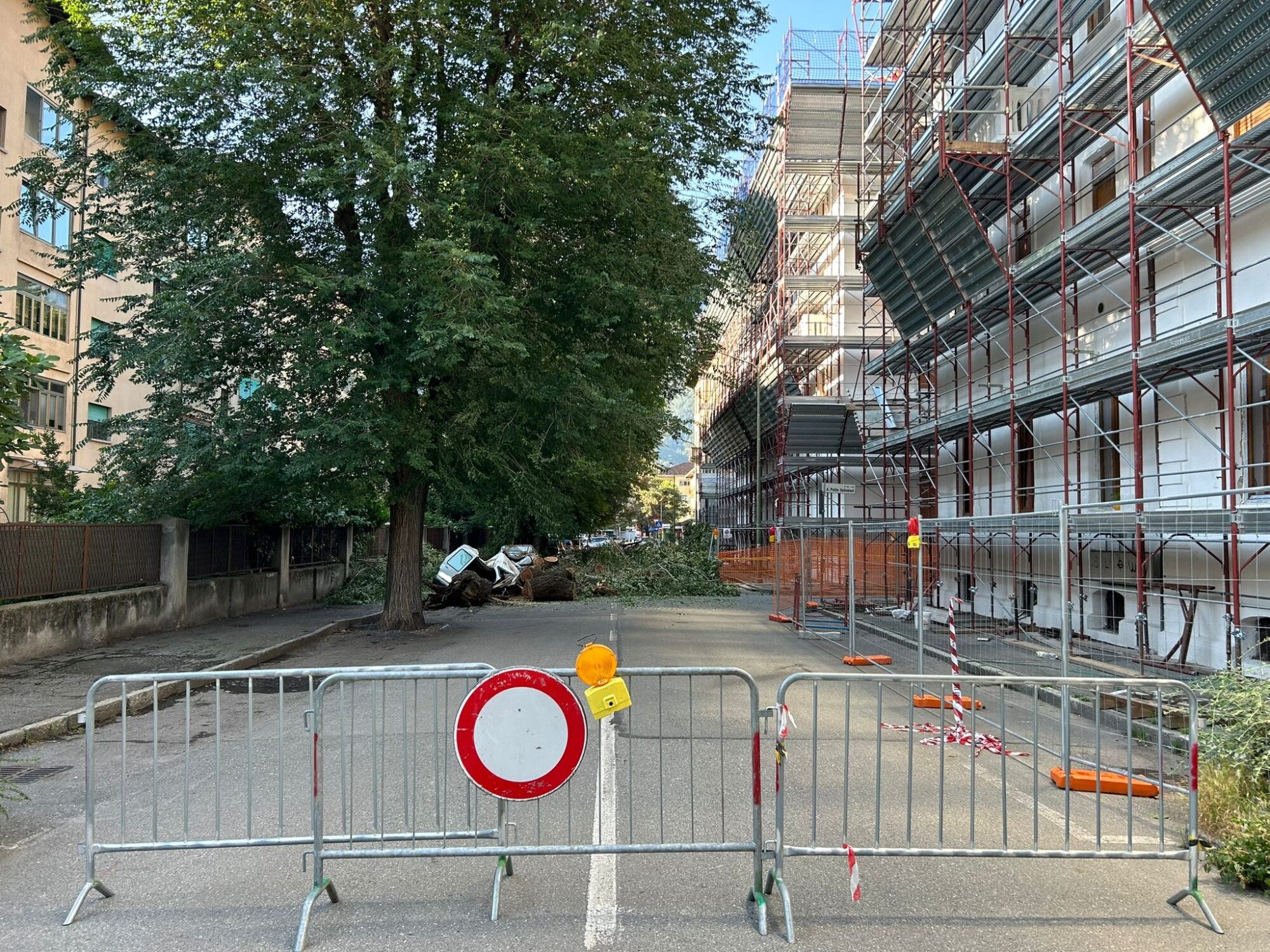 Aosta: due olmi caduti in via Pollio Salimbeni