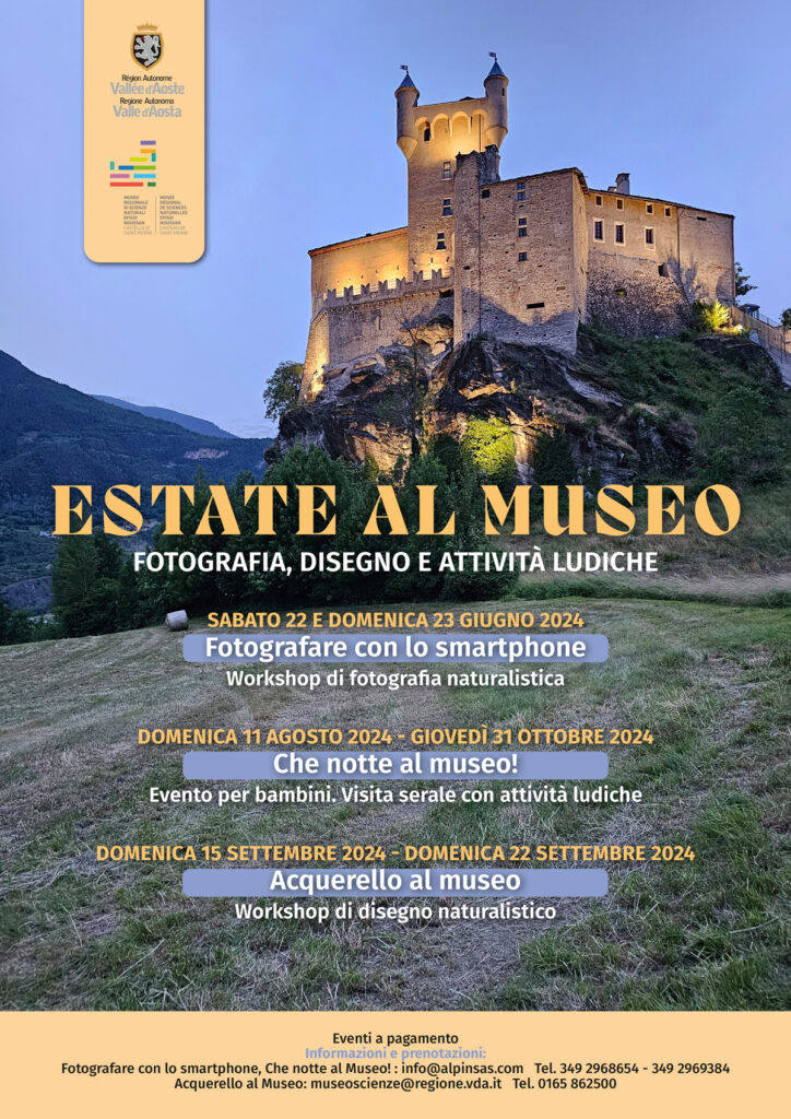 Locandina Estate al Museo 2024