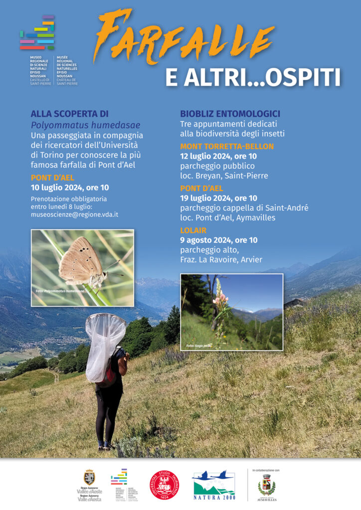 Locandina Farfalle e altri...ospiti