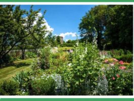 Visite guidate al Jardin des Anciens Remèdes