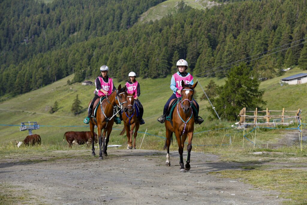 Equitazione Torgnon Endurance 2024