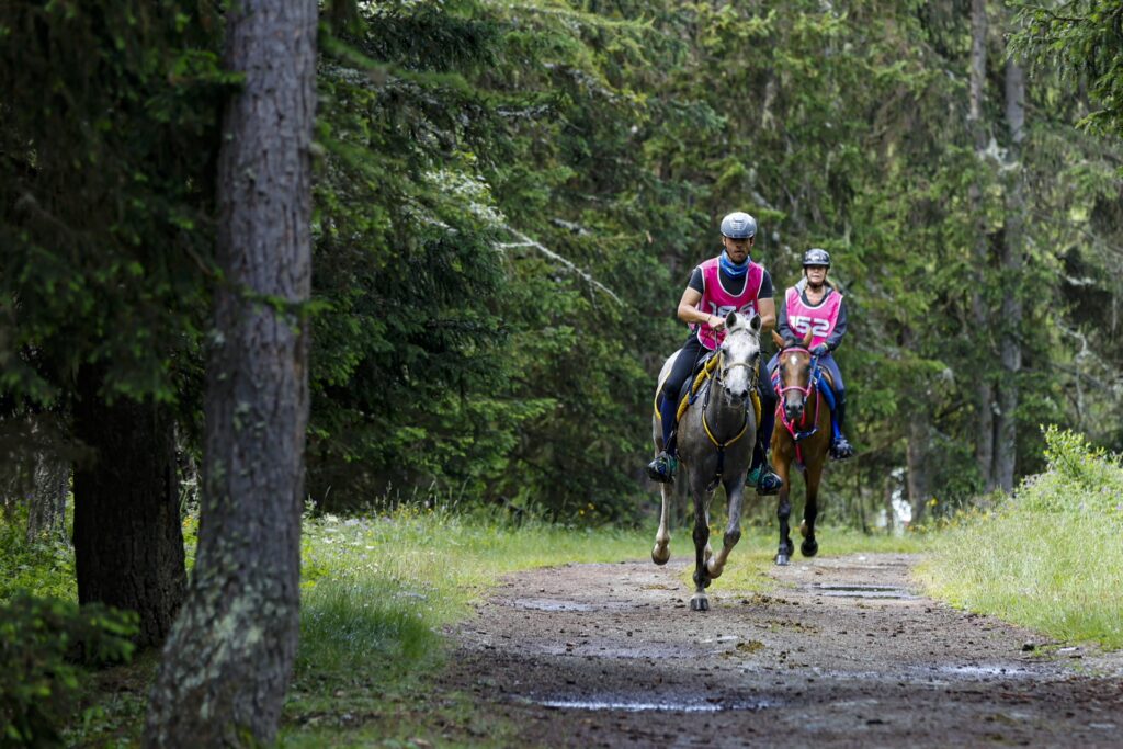 Equitazione Torgnon Endurance 2024