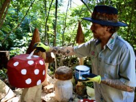 Mushroom Forest a Courmayeur