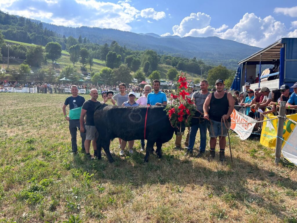 batailles de reines eliminatoria Aosta reina terza categoria