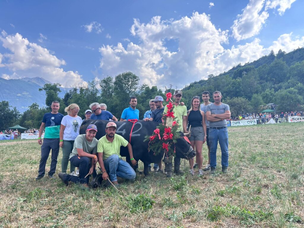 batailles de reines eliminatoria Aosta reina seconda categoria