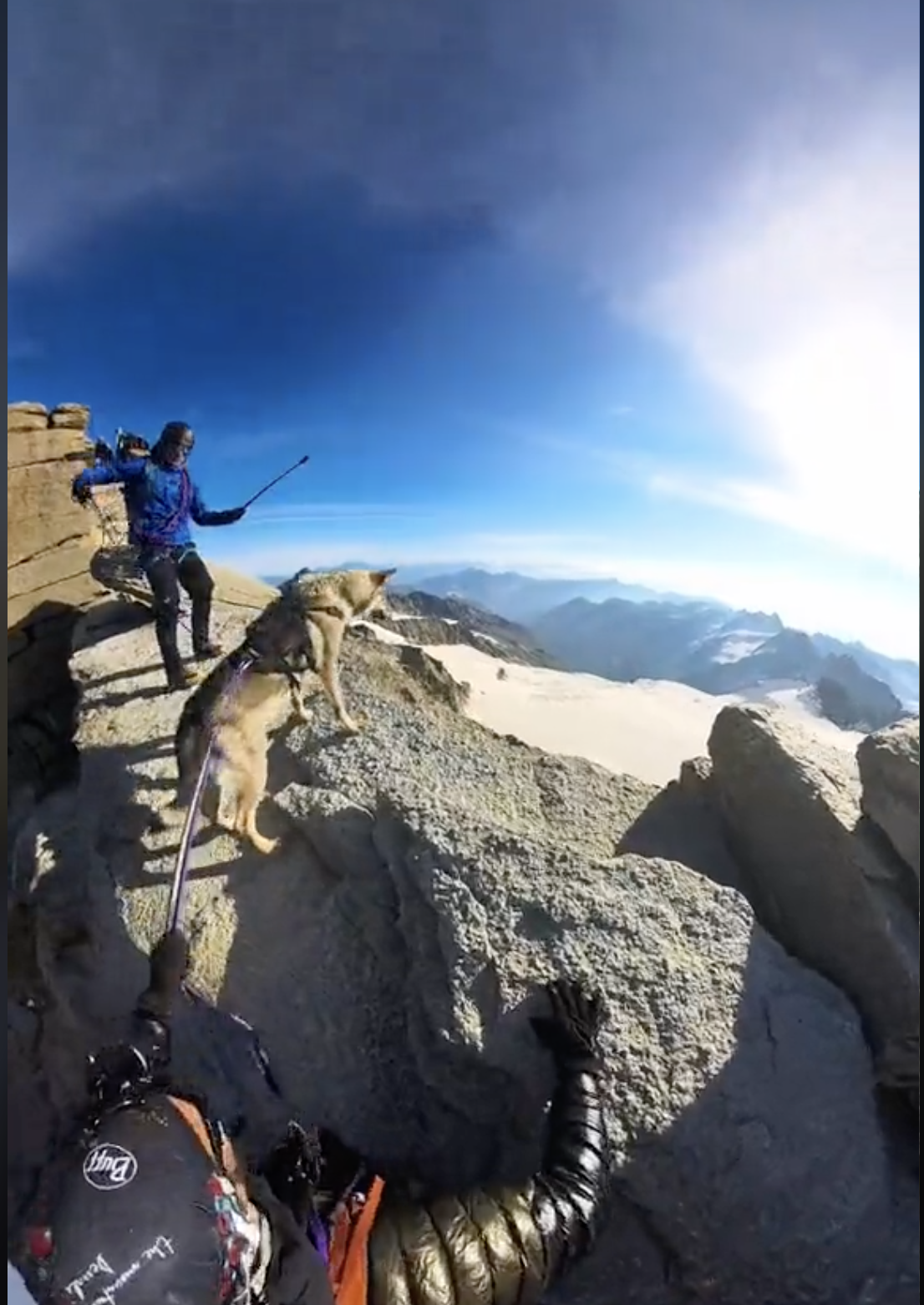 Un cane sulla vetta del Gran Paradiso
