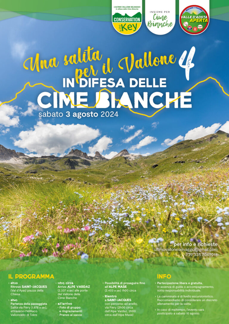 Una salita per il Vallone di Cime Bianche 2024