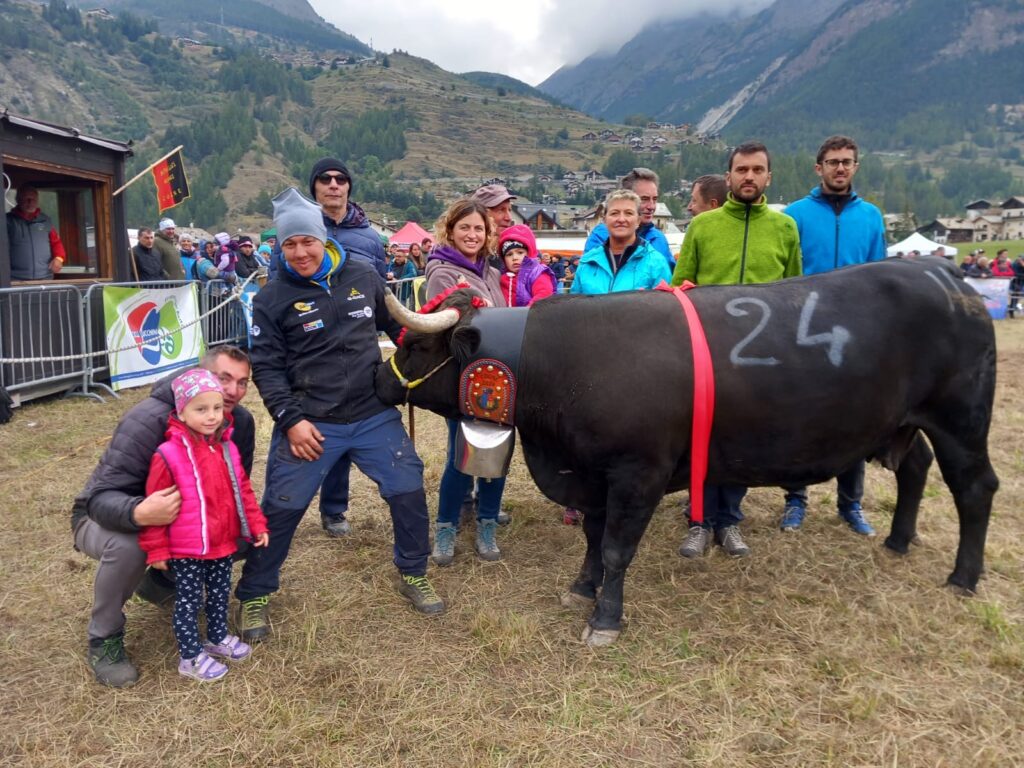 La reina di seconda categoria alla batailles de Reine di Cogne domenica 22 settembre 2024