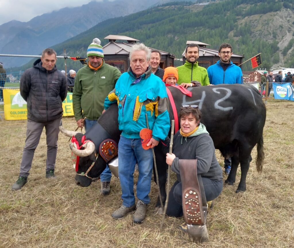 La reina di prima categoria alla batailles de Reine di Cogne domenica 22 settembre 2024