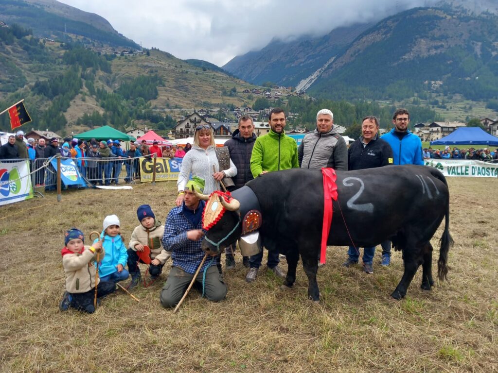 La reina di terza categoria alla batailles de Reine di Cogne domenica 22 settembre 2024