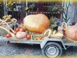 La Zucca: dall\'orto alla tavola a Verrès