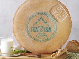 Fontina DOP protagonista al G7 agricoltura di Ortigia