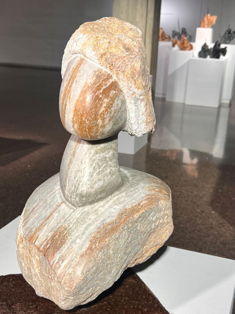 Mostra delle opere di Donato Savin in Spagna