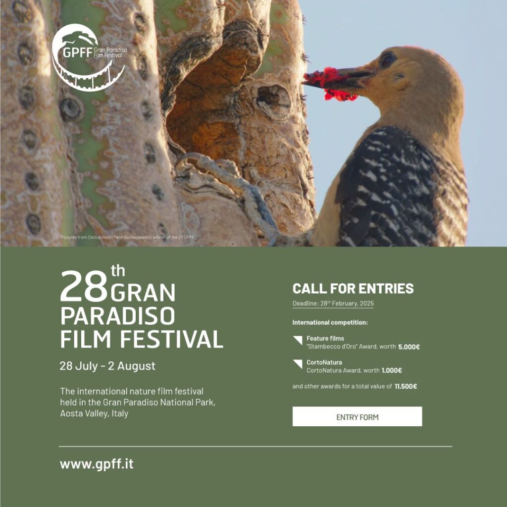 Call for entries 2025. 28° Gran Paradiso film festival