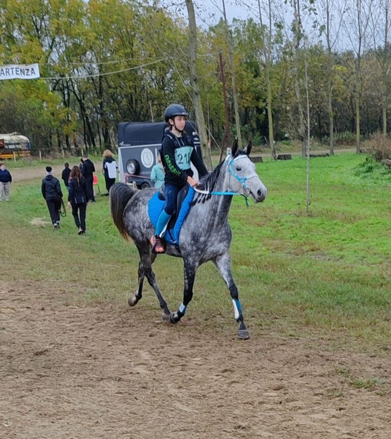 Endurance: binomi valdostani a Fontainbleau e Sannazzaro