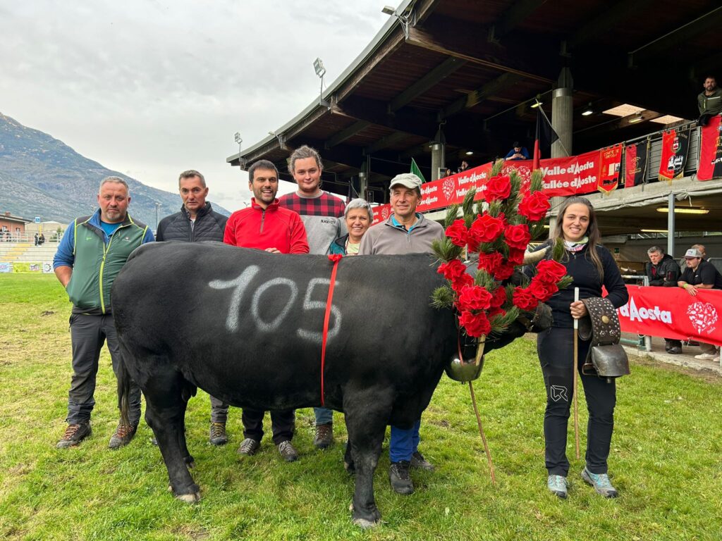 combat deuxième veau 2024 Bellonne