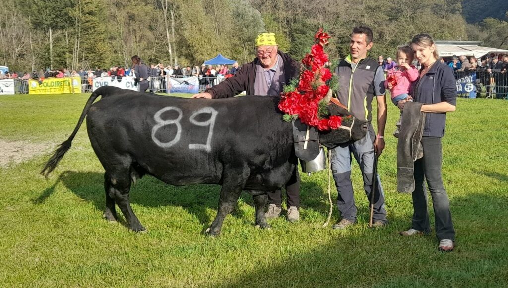 Negra Regina Terza Categoria