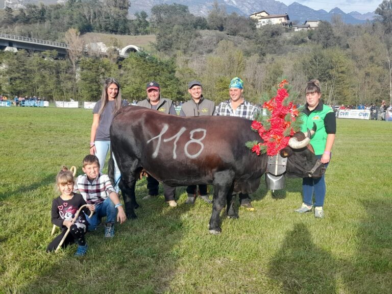 Concours régional Batailles de reines 2024