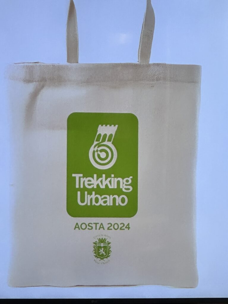Trekking Urbano 2024 Bag