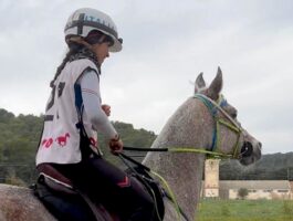 Equitazione: endurance e salto ostacoli dal 6 all\'8 dicembre