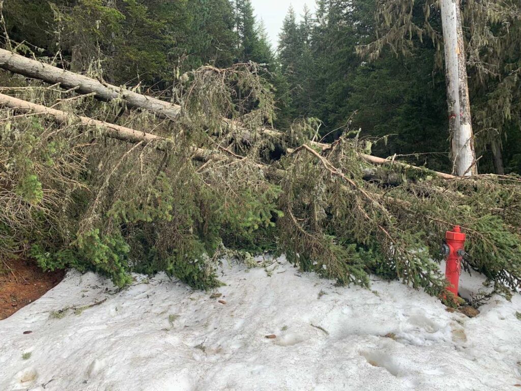 Frane, alberi sradicati ed erosioni diffuse hanno reso impraticabili intere sezioni del tracciato