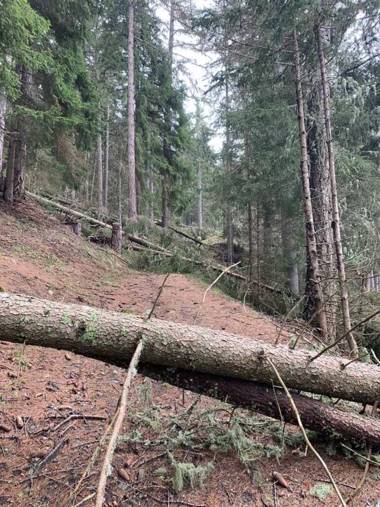 Frane, alberi sradicati ed erosioni diffuse hanno reso impraticabili intere sezioni del tracciato