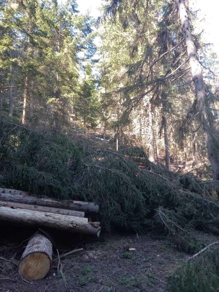 Frane, alberi sradicati ed erosioni diffuse hanno reso impraticabili intere sezioni del tracciato
