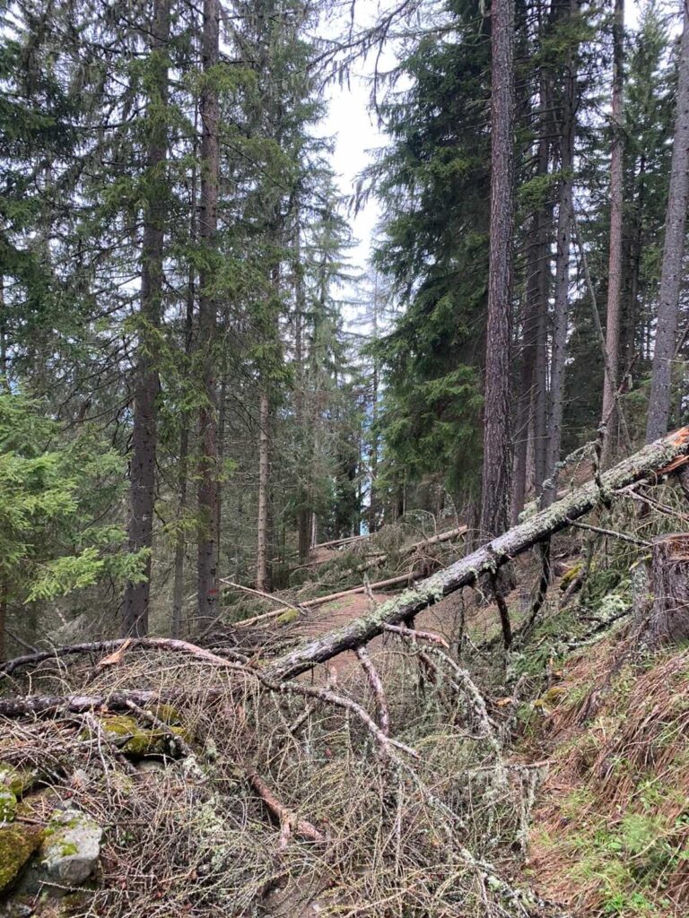 Frane, alberi sradicati ed erosioni diffuse hanno reso impraticabili intere sezioni del tracciato