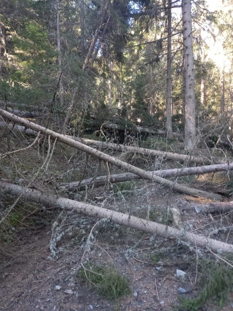 Frane, alberi sradicati ed erosioni diffuse hanno reso impraticabili intere sezioni del tracciato