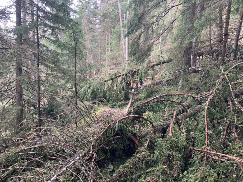 Frane, alberi sradicati ed erosioni diffuse hanno reso impraticabili intere sezioni del tracciato