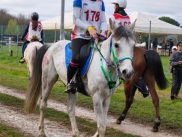 Endurance: i risultati valdostani al Campionato Interregionale Umbria-Toscana