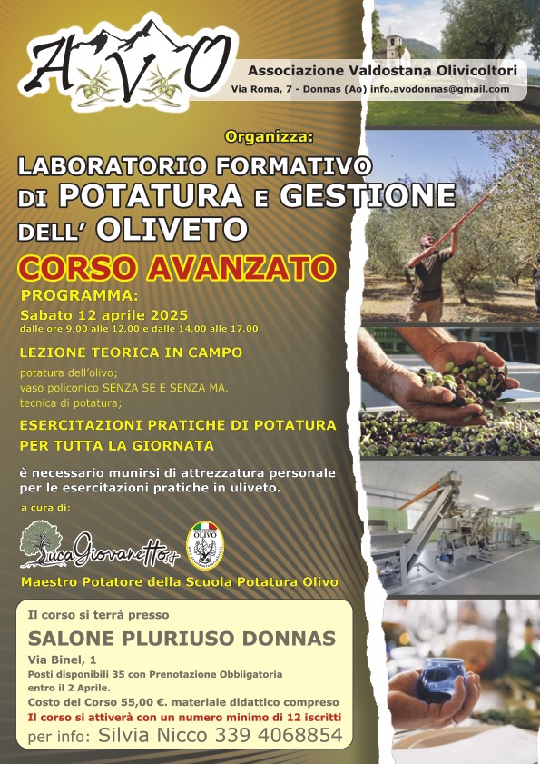 Locandina corso avanzato di potatura e gestione dell'oliveto