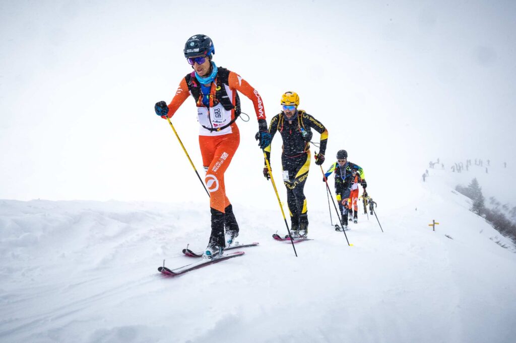Pierra2 M.torri 1124