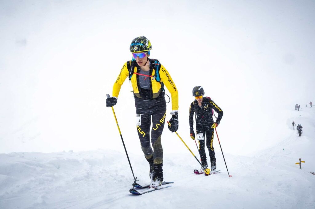 Pierra2 M.torri 1142