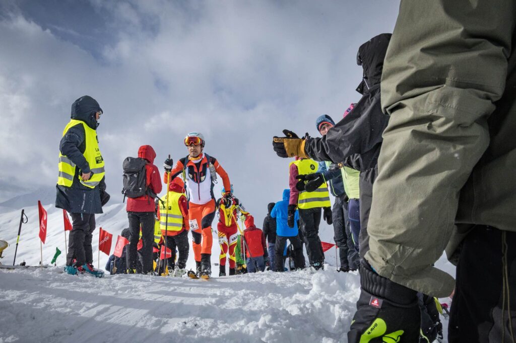 Pierra2 M.torri 1306