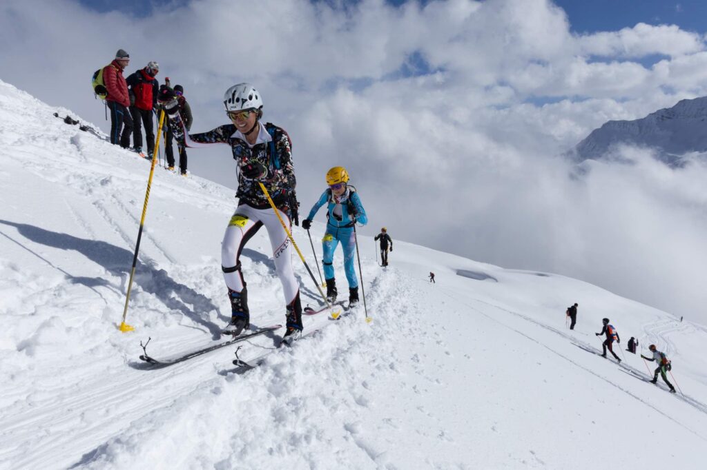 Pierra2 M.torri 1567