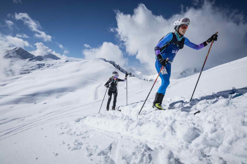 Pierra2 M.torri 1583