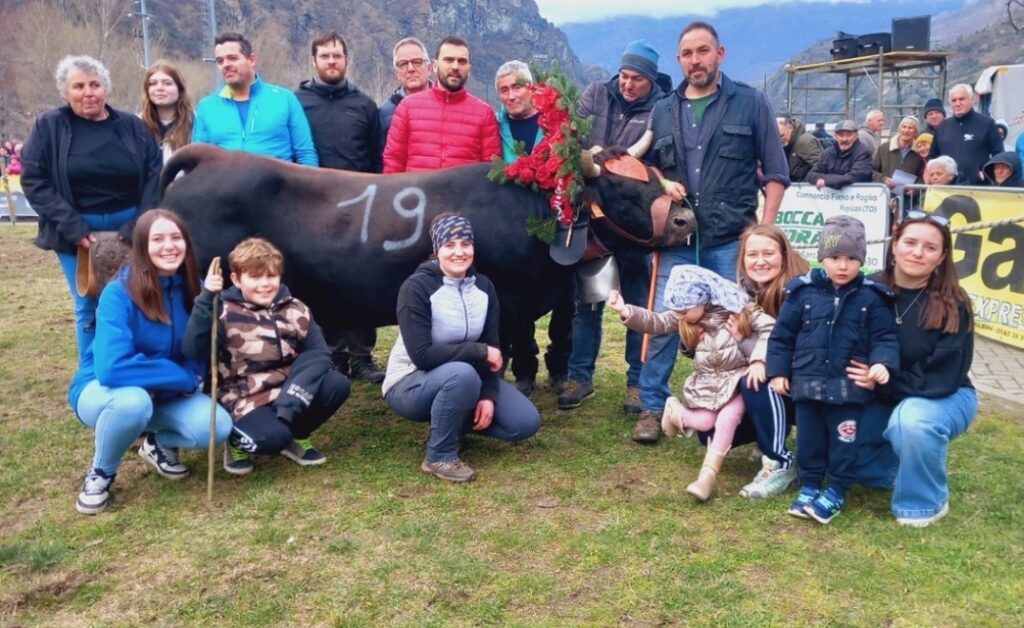 Tigrò, regina di terza categoria all'eliminatoria di Motjovet del 23 marzo 2025 del Concours régional Batailles de reines