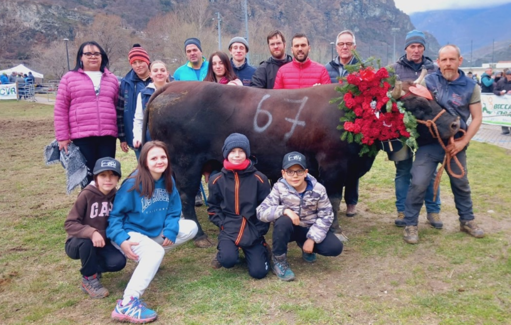 Glorieuse, regina di prima categoria all'eliminatoria di Motjovet del 23 marzo 2025 del Concours régional Batailles de reines