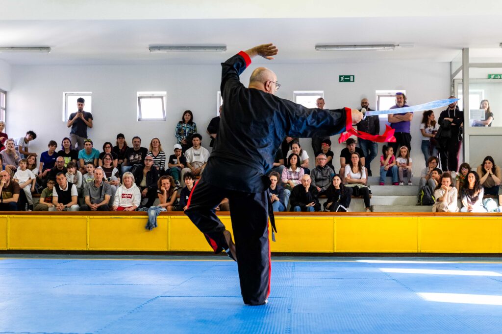 Festival delle arti marziali 2025