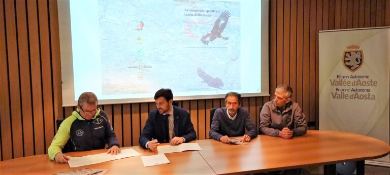 Arrampicata e fauna: dialogo tra guide e ornitologi